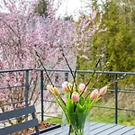 Le Des Vannes Apartment