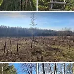 Le Des Vannes Apartment *