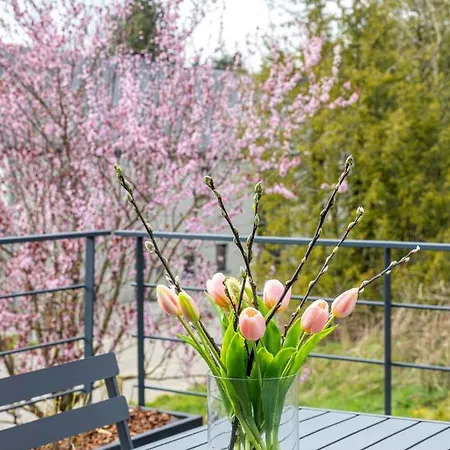 Le Des Vannes Lejlighed