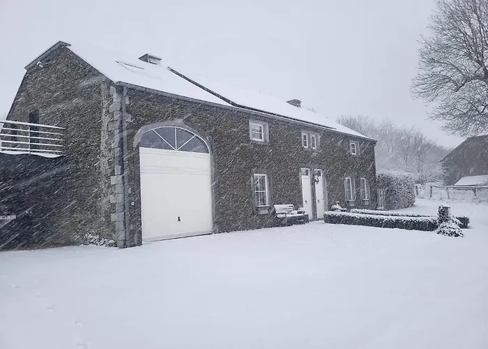 Апартаменты Le Des Vannes Нёфшато