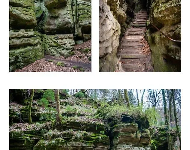 Apartment Le Des Vannes *