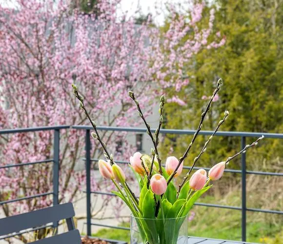 Le Des Vannes Apartment