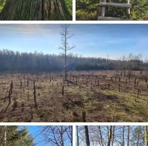 Le Des Vannes Апартаменты *